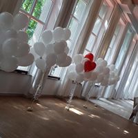 Balony ledowe na imprezy i eventy Świdnica